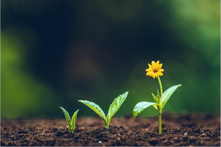 Wachstum durch Weiterbildung mit Qualitätssiegel